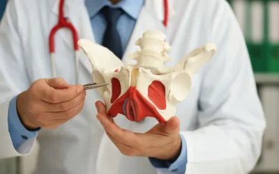 Quando il pavimento pelvico incontra la proctologia: una collaborazione che migliora la qualità di vita dei pazienti